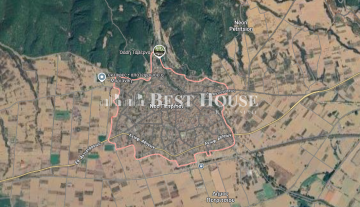 Stigmiotypo othones 2025-11-03 155154_Renamed_by_IWS.png